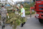 抗風救災打勝仗，復產重建新希望